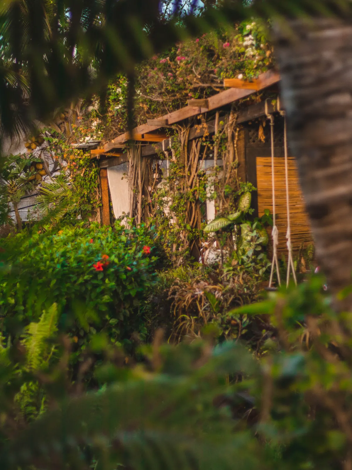 Baia Sonambula Ocean View