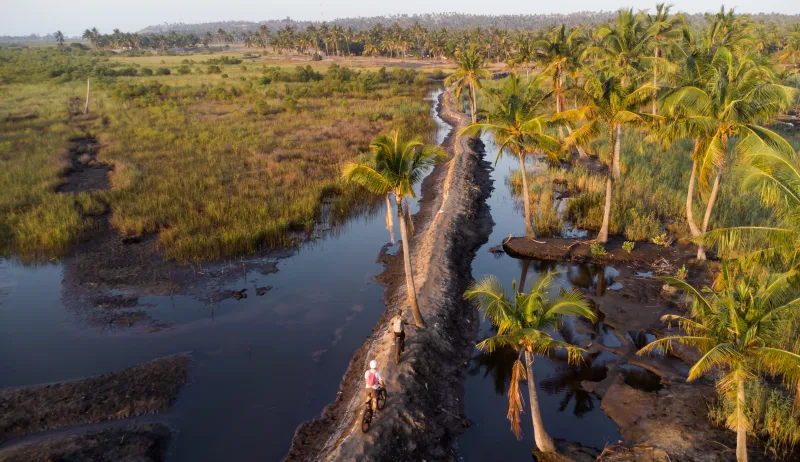 E-Bike Coastal Adventure in Tofo