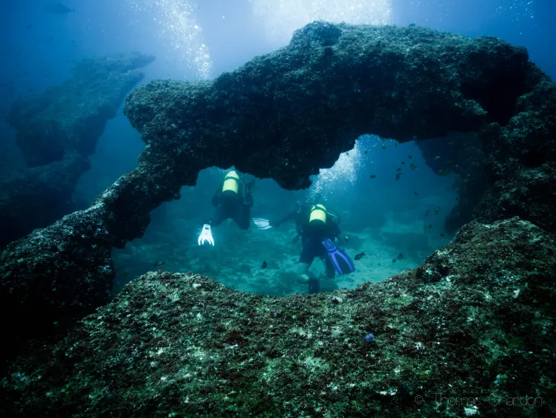 Diving & Snorkeling in Tofo