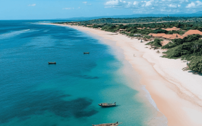 What Language Is Spoken In Tofo, Mozambique?