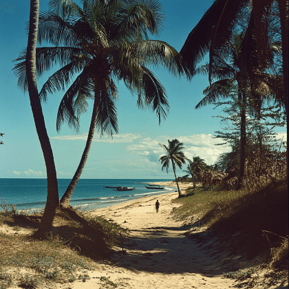 How many days can a South African stay in Mozambique?